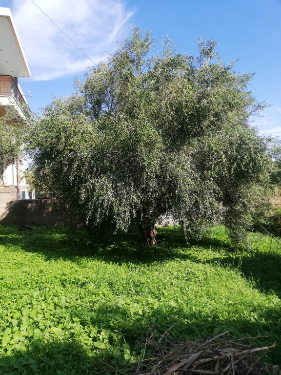 Οικόπεδο 410 τ.μ. πρός πώληση, Ν. Ηλείας, Κάστρο Κυλλήνης