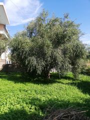 Οικόπεδο 410 τ.μ. για πώληση, Ν. Ηλείας, Κάστρο Κυλλήνης-thumb-1