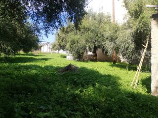 Οικόπεδο 410 τ.μ. για πώληση, Ν. Ηλείας, Κάστρο Κυλλήνης-thumb-3