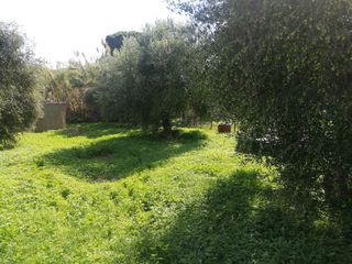 Οικόπεδο 410 τ.μ. για πώληση, Ν. Ηλείας, Κάστρο Κυλλήνης-thumb-6