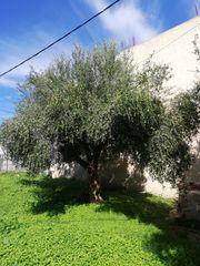 Οικόπεδο 410 τ.μ. για πώληση, Ν. Ηλείας, Κάστρο Κυλλήνης-thumb-7