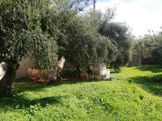 Οικόπεδο 410 τ.μ. για πώληση, Ν. Ηλείας, Κάστρο Κυλλήνης-thumb-9