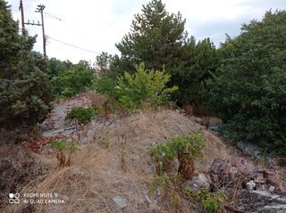 Οικόπεδο 2.000 τ.μ. για πώληση, Ν. Φλώρινας, Αμύνταιο-thumb-8
