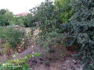 Οικόπεδο 2.000 τ.μ. για πώληση, Ν. Φλώρινας, Αμύνταιο-thumb-10