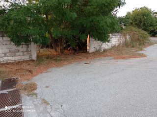Οικόπεδο 2.000 τ.μ. για πώληση, Ν. Φλώρινας, Αμύνταιο-thumb-17