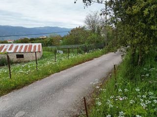 Οικόπεδο 1.013 τ.μ. για πώληση, Ν. Ιωαννίνων, Πασσαρώνα-thumb-9