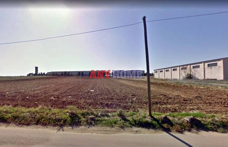 Αγροτεμάχια 12.000 τ.μ. για πώληση