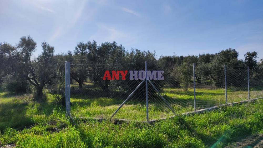 Αγροτεμάχια 10.000 τ.μ. προς πώληση, Νεοχωράκιον