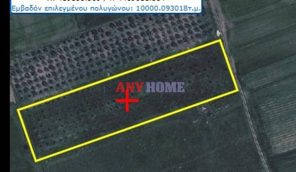 Αγροτεμάχια 10.000 τ.μ. προς πώληση, Νεοχωράκιον