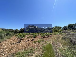 Αγροτεμάχια 9.800 τ.μ. για πώληση, Ν. Ρεθύμνου, Γεροπόταμος-thumb-1