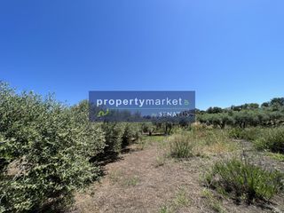 Αγροτεμάχια 9.800 τ.μ. για πώληση, Ν. Ρεθύμνου, Γεροπόταμος-thumb-2