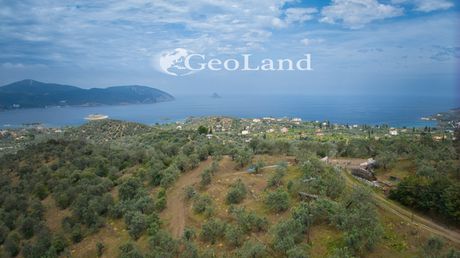 Αγροτεμάχια 10.016 τ.μ. για πώληση