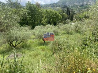 Οικόπεδο 5.000 τ.μ. για πώληση, Αχαΐα, Αιγιάλεια-thumb-4