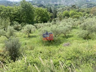Οικόπεδο 5.000 τ.μ. για πώληση, Αχαΐα, Αιγιάλεια-thumb-6