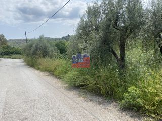Οικόπεδο 5.000 τ.μ. για πώληση, Αχαΐα, Αιγιάλεια-thumb-7