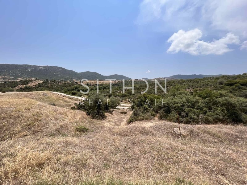 Οικόπεδο 500 τ.μ. προς πώληση, Σκάλα Συκέας