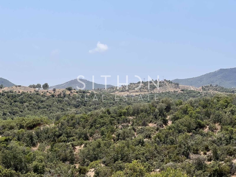 Οικόπεδο 500 τ.μ. προς πώληση, Σκάλα Συκέας