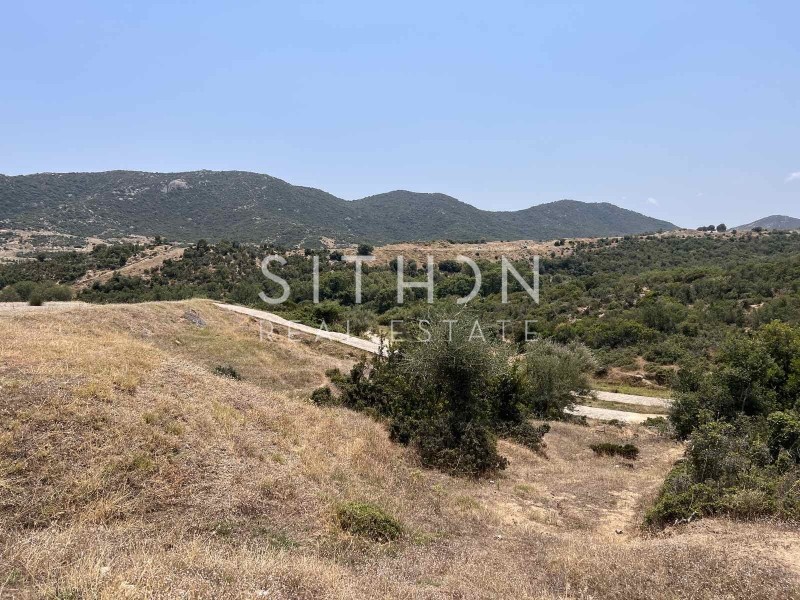 Οικόπεδο 500 τ.μ. προς πώληση, Σκάλα Συκέας