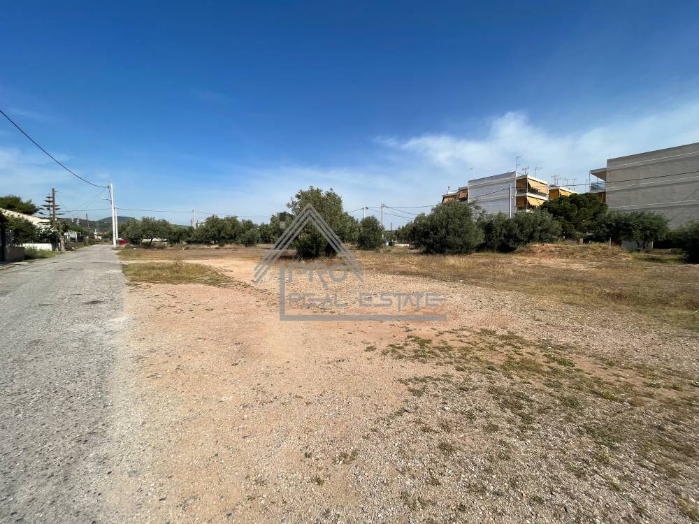 Αγροτεμάχια 1.408 τ.μ. πρός πώληση, Αττική - Υπόλοιπο, Ασπρόπυργος