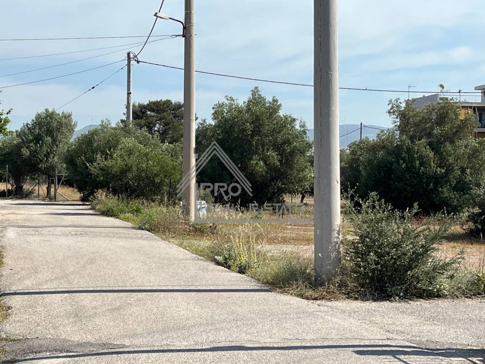 Αγροτεμάχια 1.408 τ.μ. πρός πώληση, Αττική - Υπόλοιπο, Ασπρόπυργος