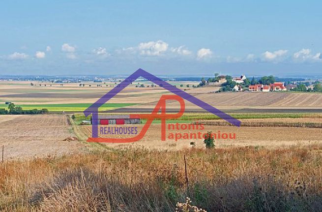 Αγροτεμάχια 6.000 τ.μ. για πώληση, Ν. Ιωαννίνων, Παμβωτίδα