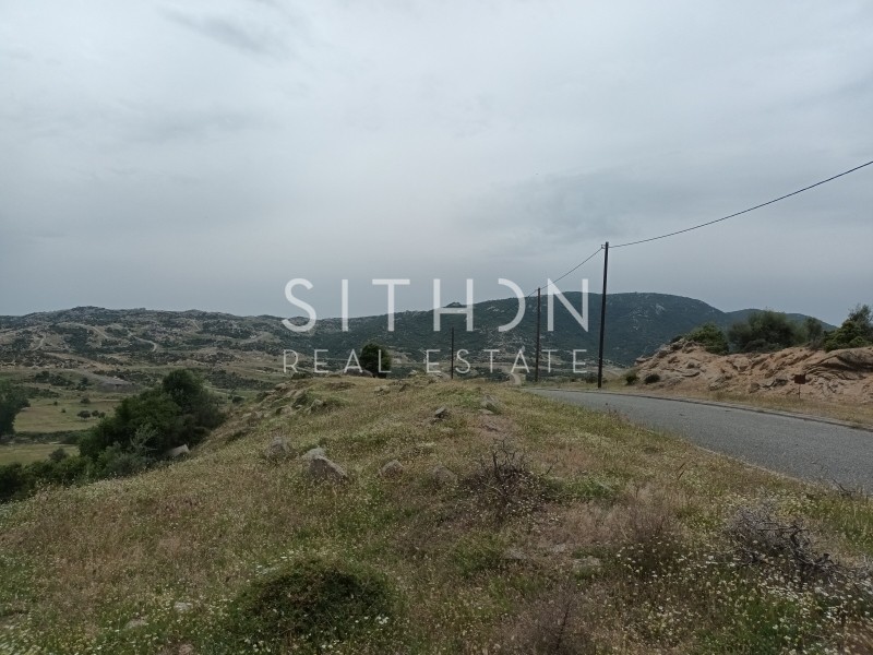 Οικόπεδο 500 τ.μ. προς πώληση, Σκάλα Συκέας