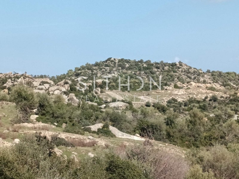 Οικόπεδο 496 τ.μ. προς πώληση, Σκάλα Συκέας
