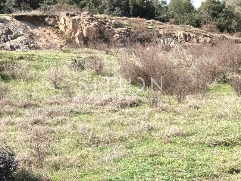 Οικόπεδο 496 τ.μ. προς πώληση, Σκάλα Συκέας