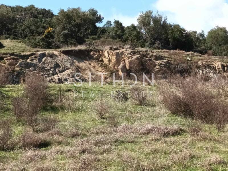 Οικόπεδο 496 τ.μ. προς πώληση, Σκάλα Συκέας