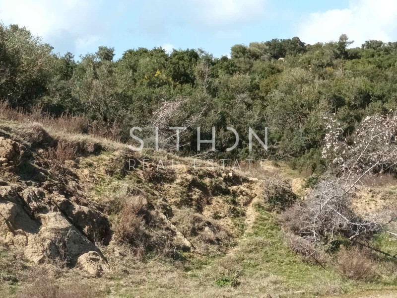Οικόπεδο 496 τ.μ. προς πώληση, Σκάλα Συκέας