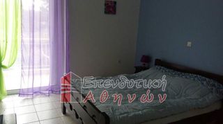 Διαμέρισμα 42 τ.μ. για ενοικίαση, Αρκαδία, Τρίπολη-thumb-3