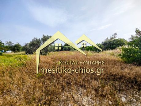 Οικόπεδο 1.640 τ.μ. για πώληση