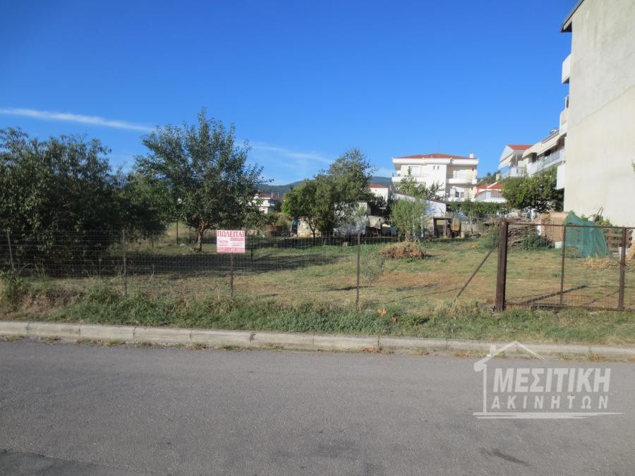 Οικόπεδο 2.600 τ.μ. προς πώληση, Κουλούρα Αποστόλου Παύλου