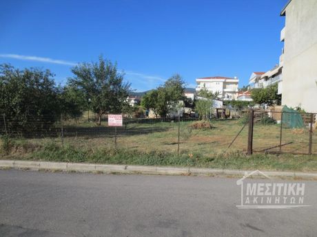 Οικόπεδο 2.600 τ.μ. για πώληση