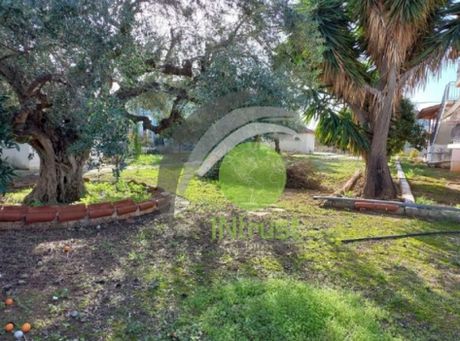 Διαμέρισμα 117τ.μ. για πώληση-Δυτικής αχαΐας » Κάτω αλισσός