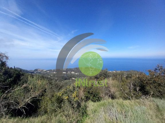Land plot 4.500 sqm for sale, Lefkada Prefecture, Lefkada