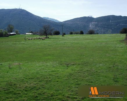 Αγροτεμάχια 18.500τ.μ. για πώληση-Ανατολή