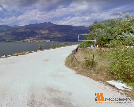 Αγροτεμάχια 2.000τ.μ. για ενοικίαση-Ιωάννινα » Κέντρο