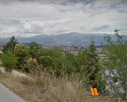Οικόπεδο 650τ.μ. για πώληση-Ιωάννινα » Νεοχωρόπουλο