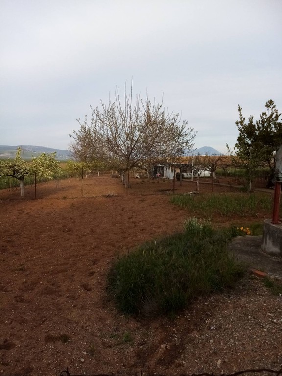 Μονοκατοικία 28 τ.μ. πρός πώληση, Βοιωτία, Πλαταιές