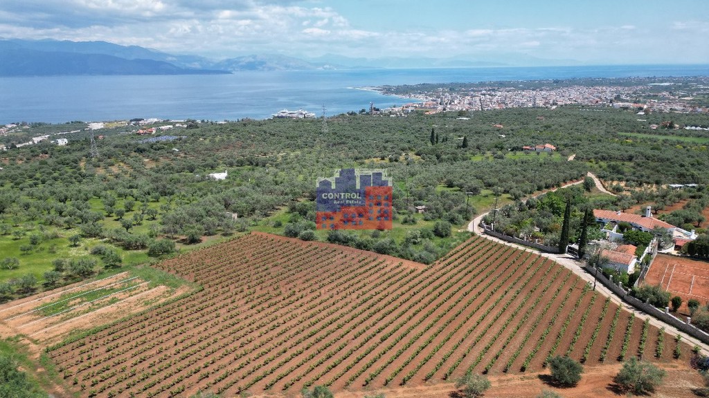 Οικόπεδο 8.100 τ.μ. προς πώληση, Κέντρο Αιγίου