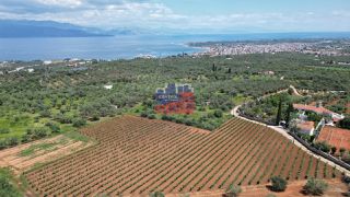 Οικόπεδο 8.100 τ.μ. για πώληση, Αχαΐα, Αίγιο-thumb-1