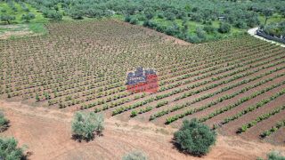 Οικόπεδο 8.100 τ.μ. για πώληση, Αχαΐα, Αίγιο-thumb-2