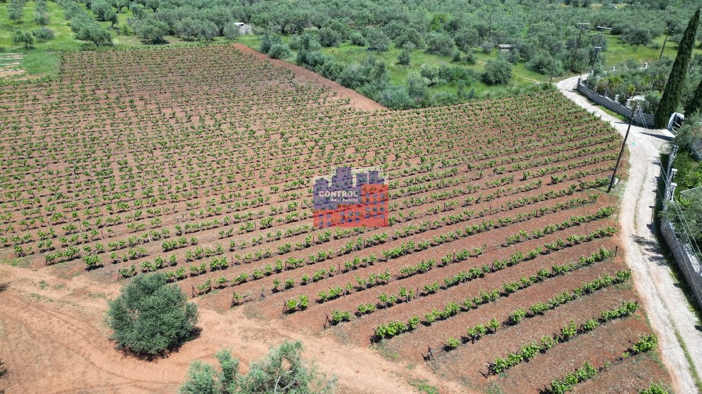 Οικόπεδο 8.100 τ.μ. προς πώληση, Κέντρο Αιγίου