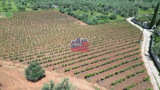 Οικόπεδο 8.100 τ.μ. για πώληση, Αχαΐα, Αίγιο-thumb-3