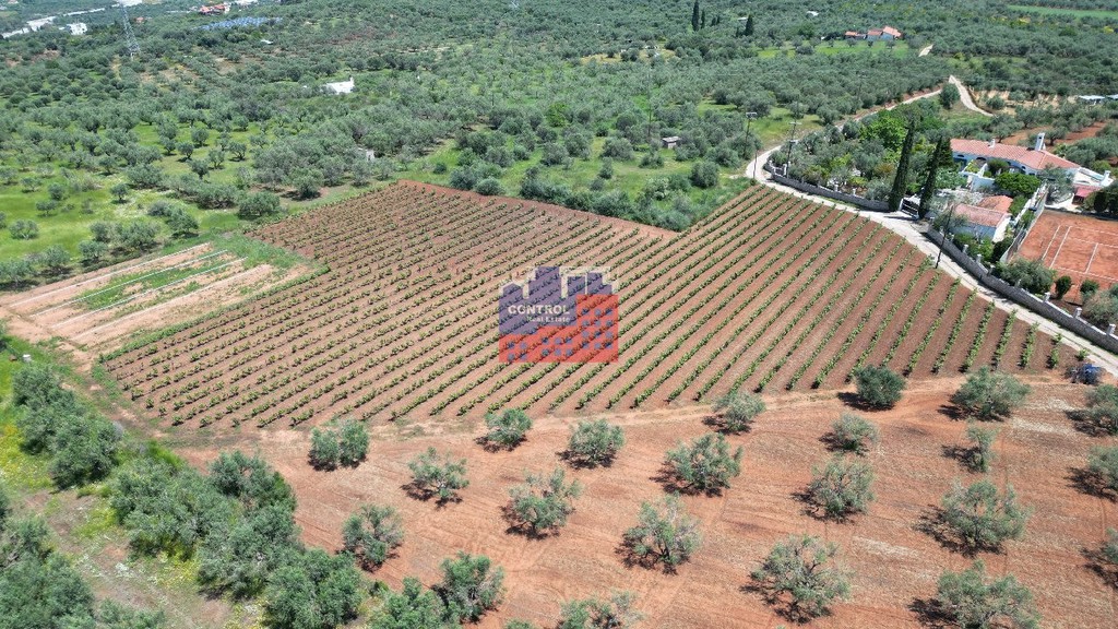 Οικόπεδο 8.100 τ.μ. προς πώληση, Κέντρο Αιγίου