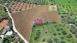 Οικόπεδο 8.100 τ.μ. για πώληση, Αχαΐα, Αίγιο-thumb-5