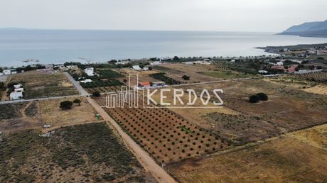 Land plot 9.600sqm for sale-Sfakia » Patsianos