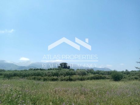 Land plot 13.000sqm for sale-Fre » Fres