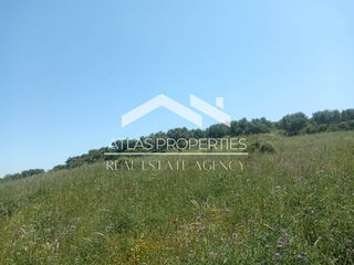 Οικόπεδο 13.000 τ.μ. για πώληση, Ν. Χανίων, Φρέ-thumb-6